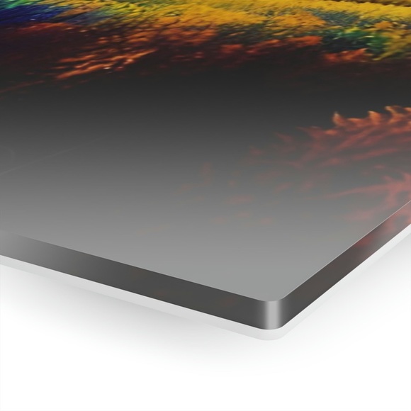 Rainbow Field Acrylic Photo Print - Picture 3 of 5